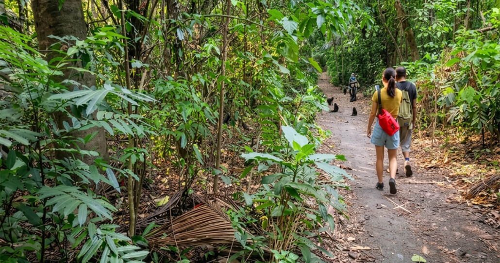 Tangkoko-Nature-Reserve-01