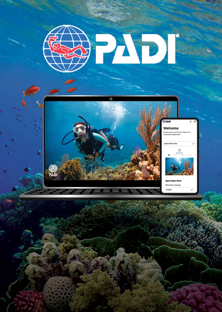 PADI logo above a laptop and smartphone showing underwater diving scenes with coral reef in the background, promoting online diving courses online/offline access.